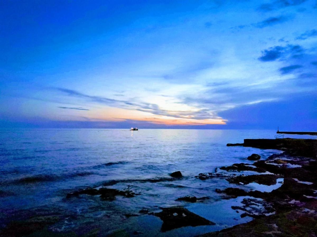 Nina Deluxe Superior 5 Star Apartment, Your Piece Of Heaven By The Sea & Park Novigrad  Ngoại thất bức ảnh